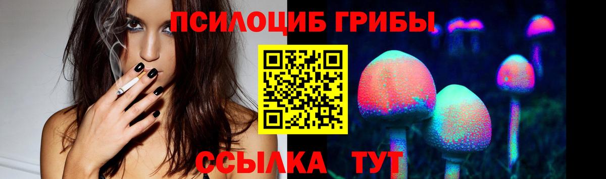 Псилоцибиновые грибы Psilocybine cubensis  Вход с VPN  Псилоцибиновые грибы ЛСД  Якутск 